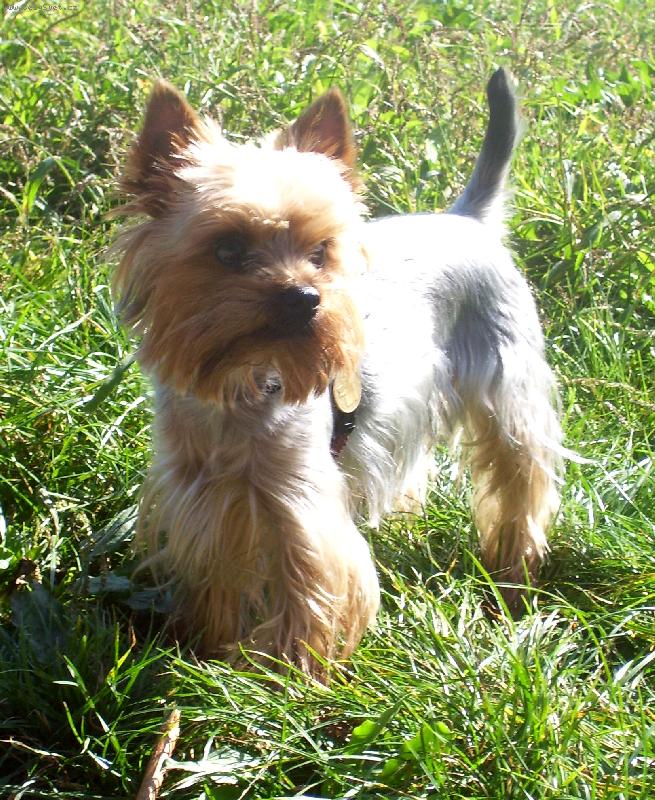 Foto: Rozhl��m se...........