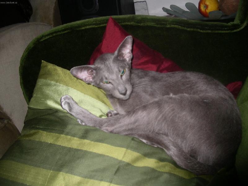 Foto: Amigo