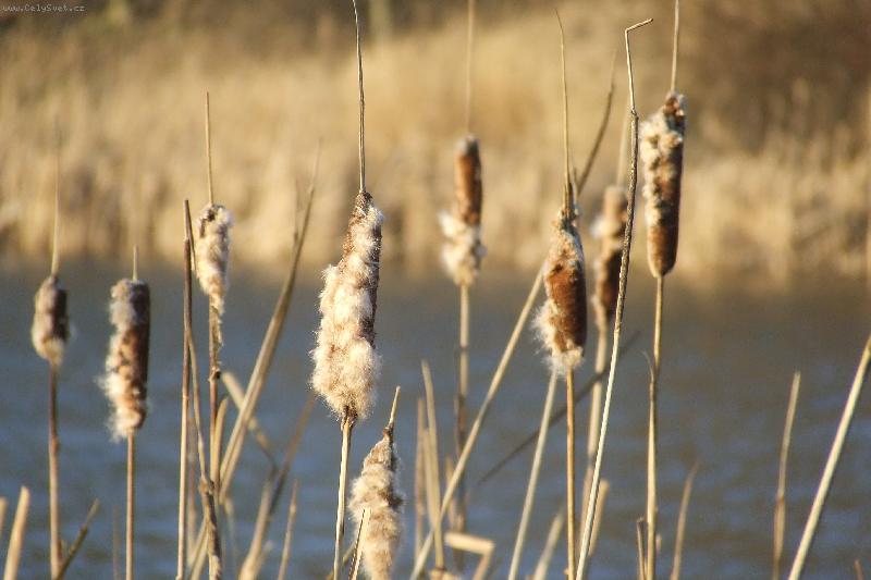 Foto: St��ovick� vrch