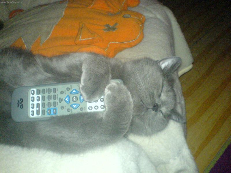 Foto: Bri��k-Osk�rek