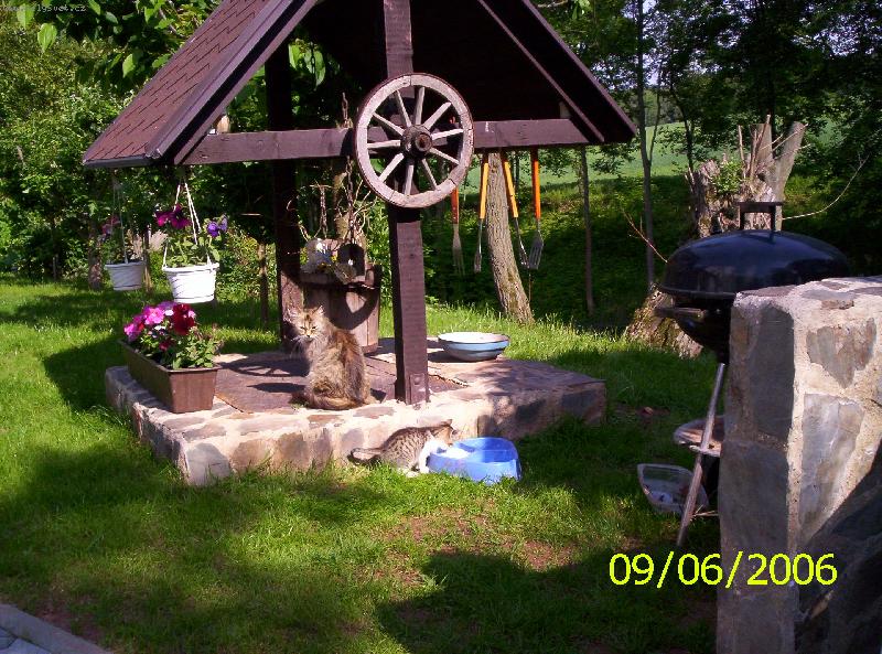 Foto: DOZOR mus� b�t