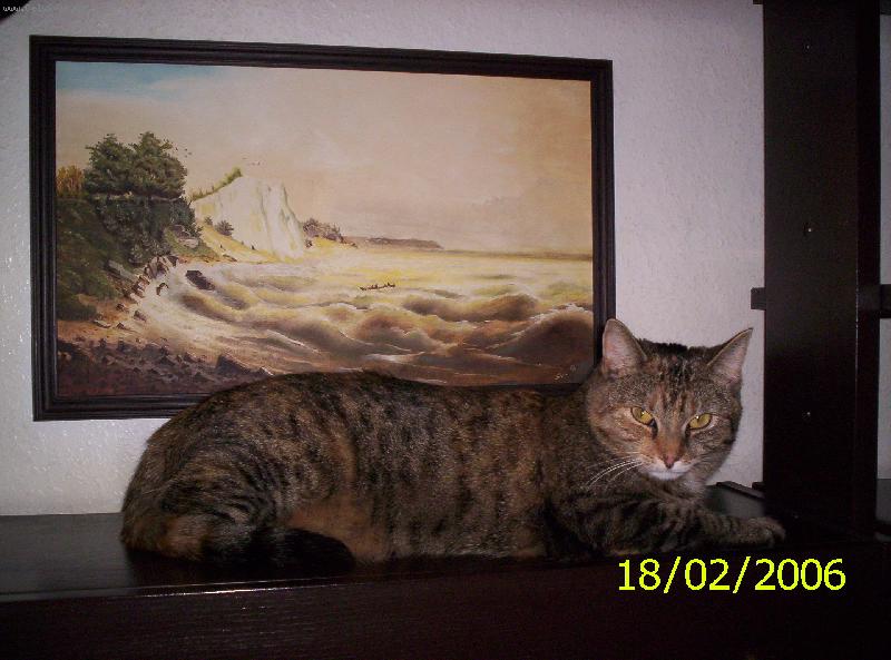 Foto: Kdo je hez��?