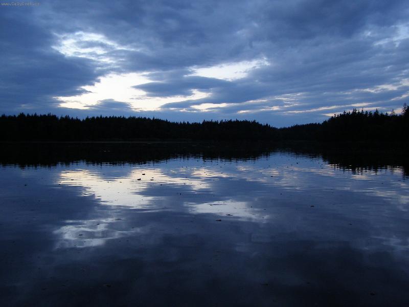 Foto: Rybn�k v ji�n�ch �ech�ch