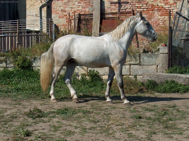 Foto: Ricco-hezky z profilu