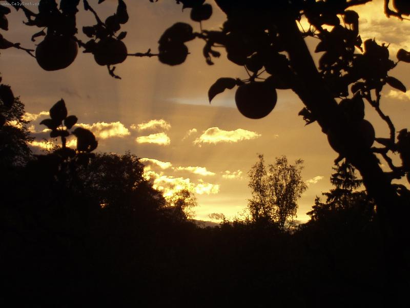 Foto: z�pad s jablkama