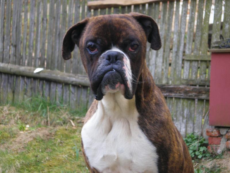 Foto: L�b�m se ti???