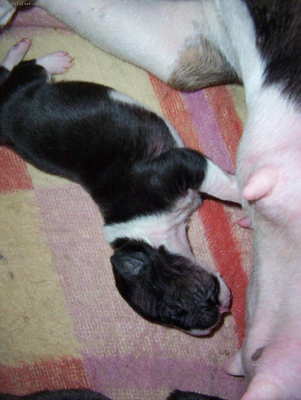 Foto: Kdepak jsi mami???-M�m je�t� hlad...