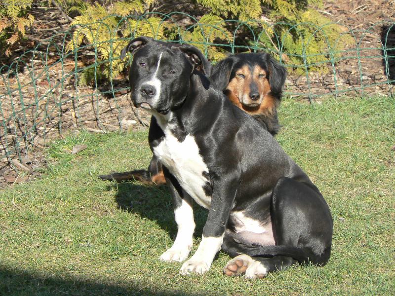 Foto: ARNOU�EK-7 M�S��N� �T���TKO