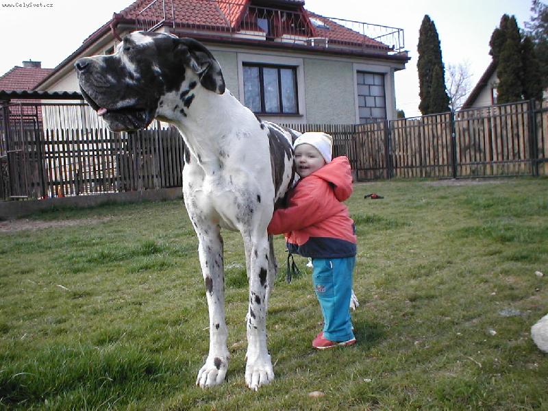 Foto: M�j velk� kamar�d-Mazlen�