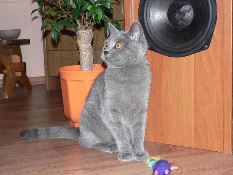 Foto: Kam �e se to m�m usm�t?