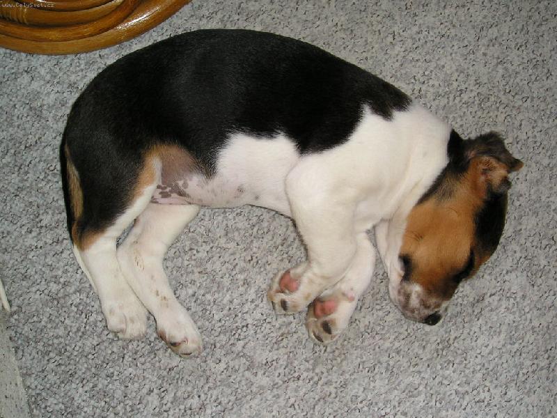 Foto: Bessinka-�t���tko