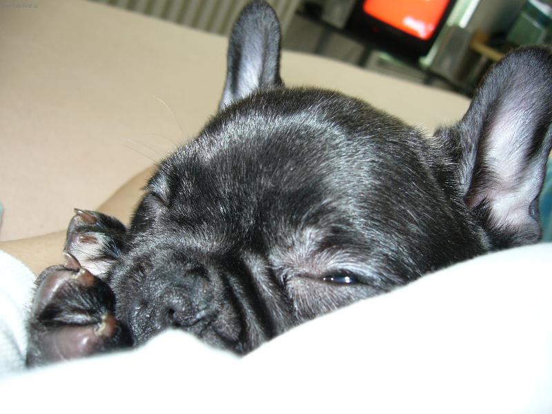 Foto: dobrou...