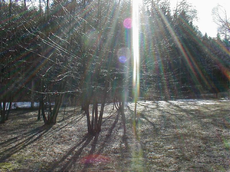 Foto: Rusalka p�ivol�v� jaro