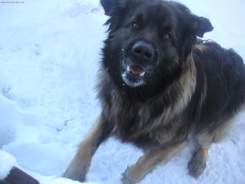 Foto: MAX
