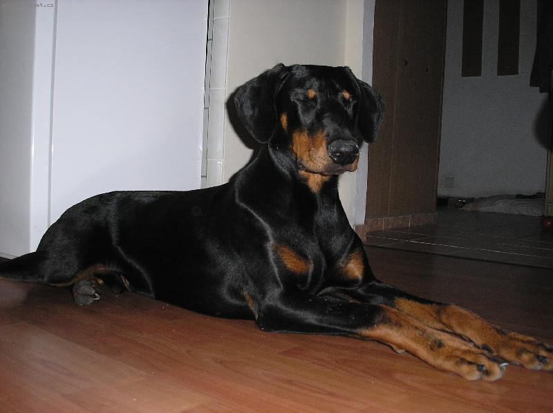 Foto: Sorbon