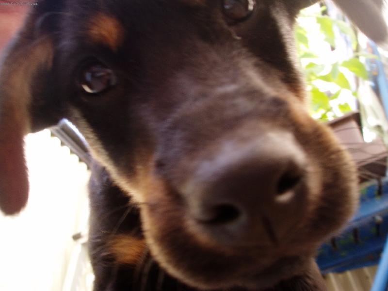 Foto: �uf