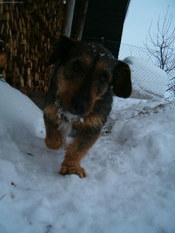 Foto: Nik�a