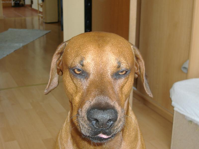 Foto: jack