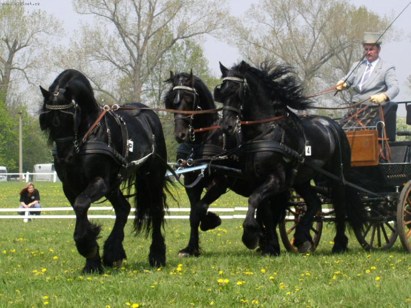 Foto: trojsp�e��