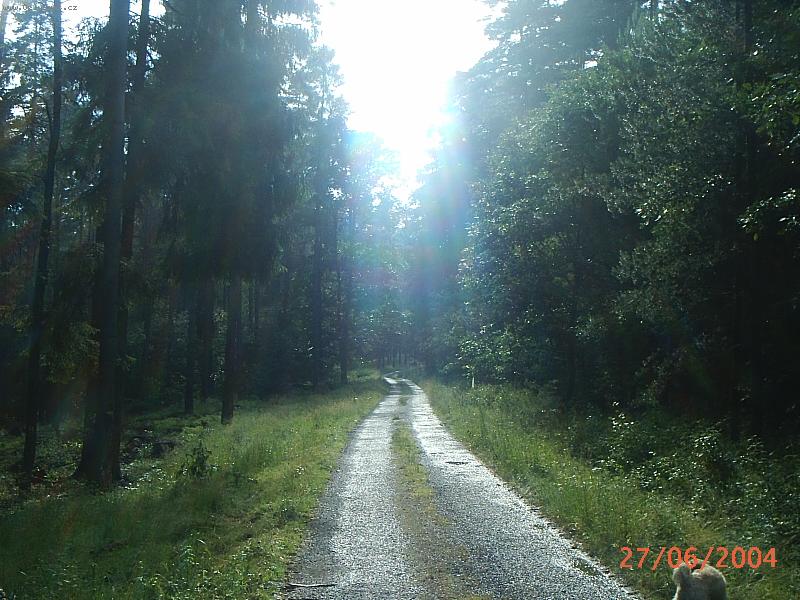 Foto: Cesti�ka k domovu