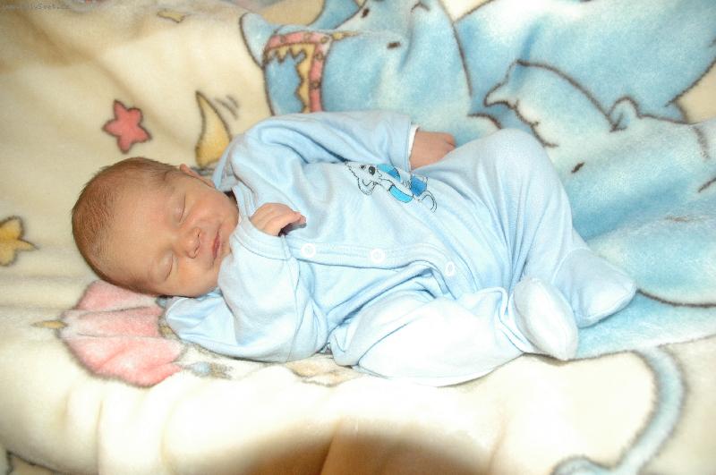 Foto: George-M�j mal� br�ka George