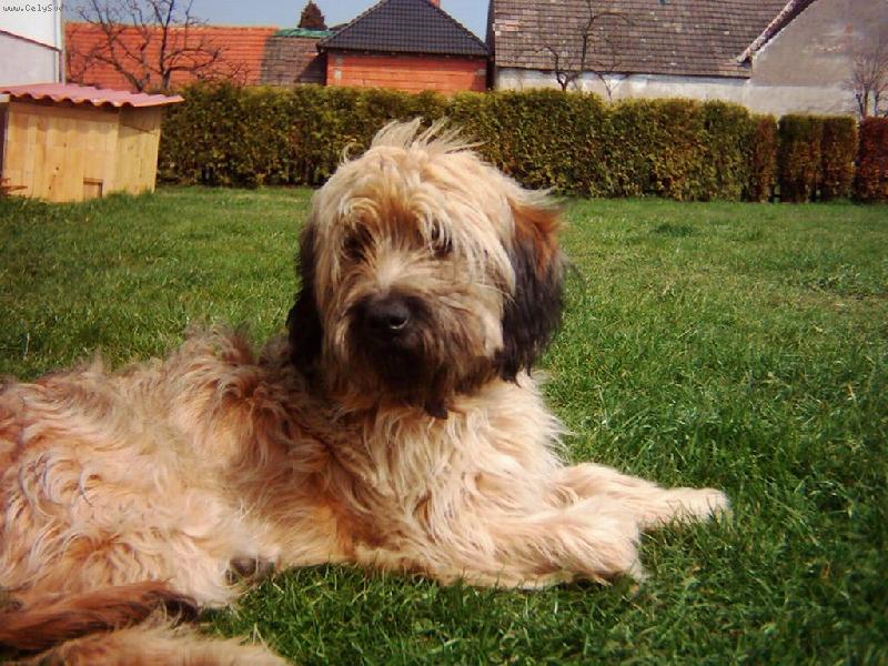 Foto: Baron