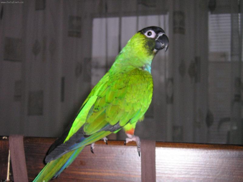 Foto: Kub��ek-Mil��ek rodiny