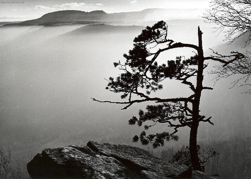 Foto: Nad oparem