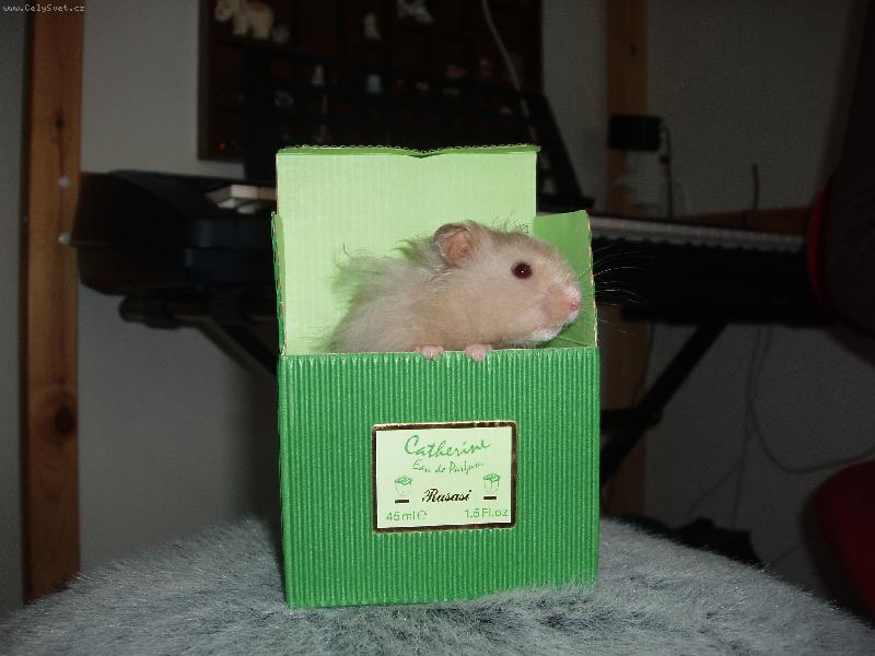 Foto: rikku-tady se mi l�b�