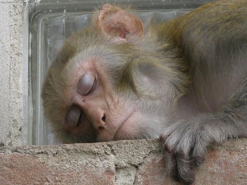 Foto: spink�n�-je �as j�t do hajan