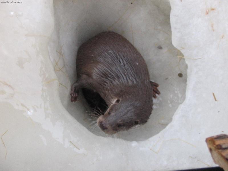 Foto: "Je�t� nesplachujte!!!"