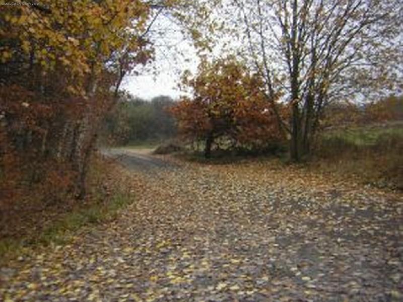 Foto: Cesta-na podzim