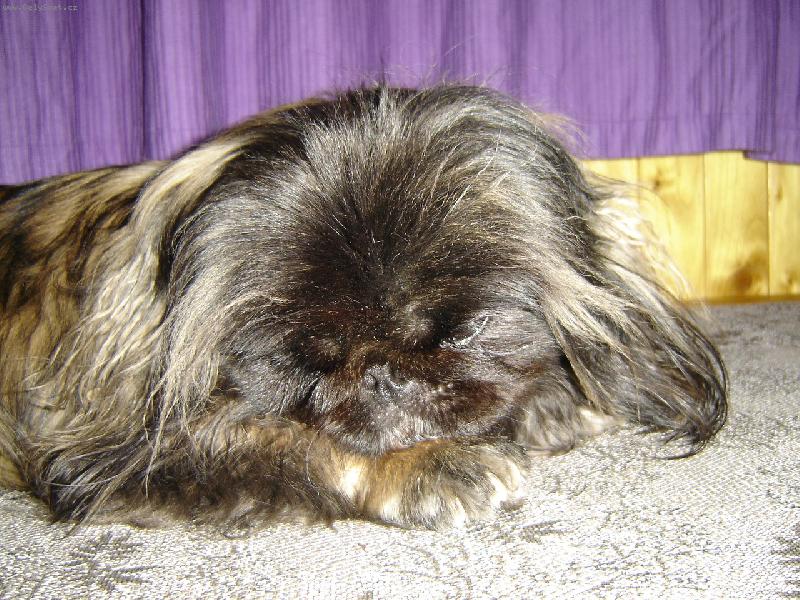 Foto: Judka