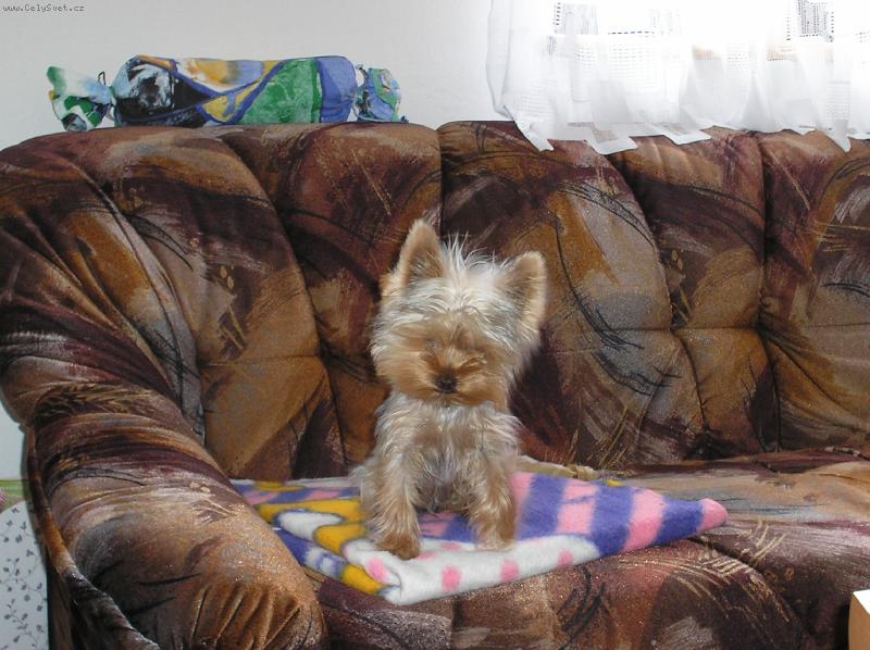 Foto: Dorotka