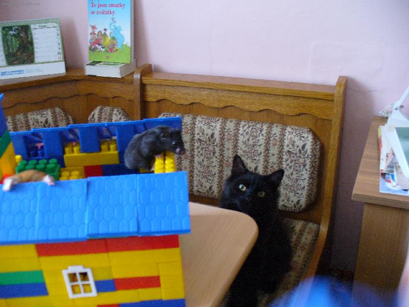 Foto: Hryzalka a Mike�-C�t�m ob�d