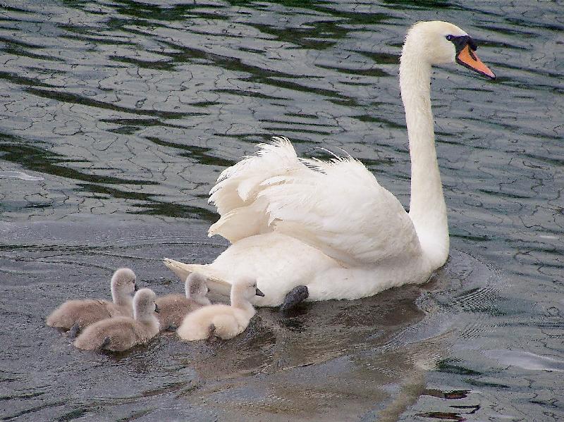 Foto: Na prvn�m v�let�