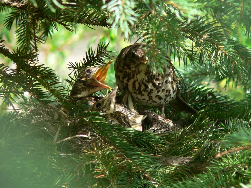 Foto: Mate�sk� l�ska