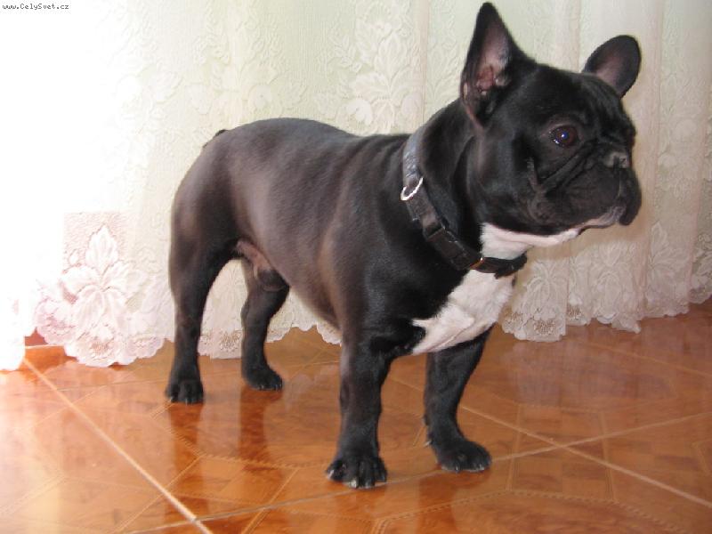 Foto: MAX