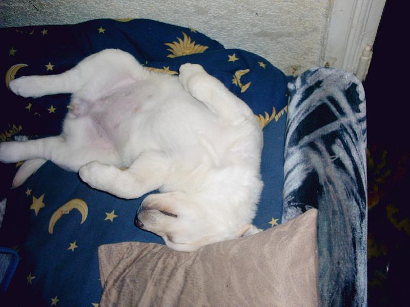 Foto: je to par�da,lehnout jsi na z�da....