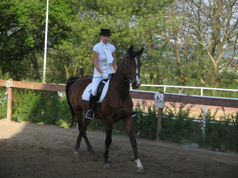 Foto: Aramis-M�j nemilovan�j�� k��