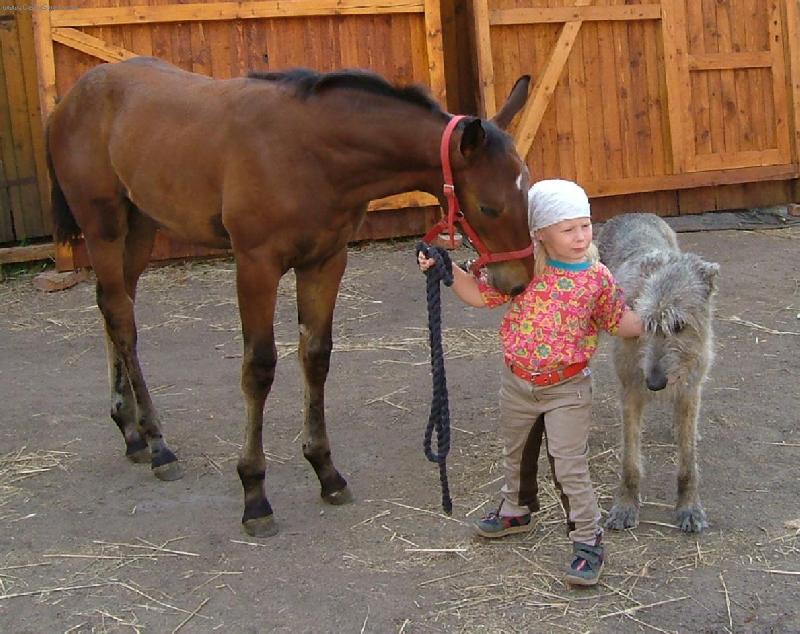 Foto: p��tel�-t�i kamar�di