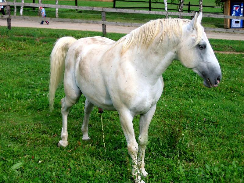 Foto: P�eci si nenech�m vyvalit bok !!