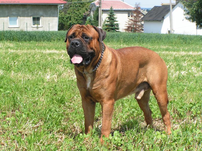 Foto: Fido Stra�nicky Raj-hrdost