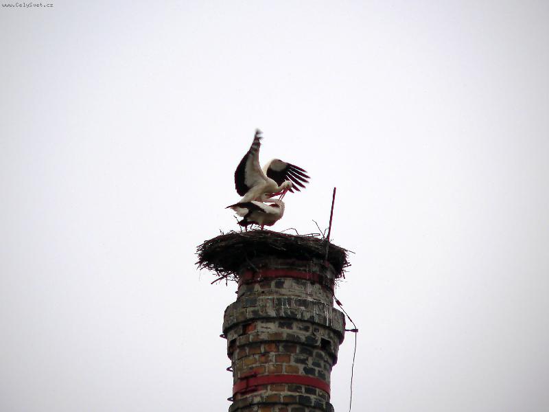 Foto: p��en� ��p�