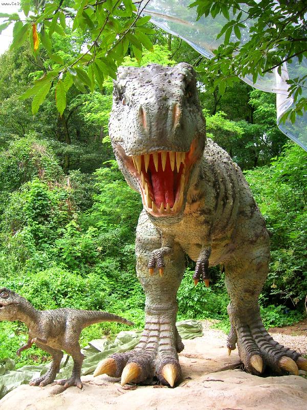 Foto: Se�eru V�s...