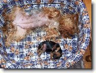 Spole�n� siesta maminky a dcery :-)