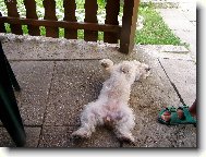 odpo�inek