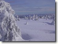 bez koment��e
