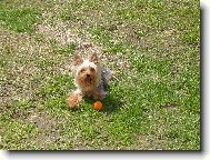 Letn� pohoda