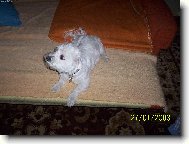 Mal� Enji